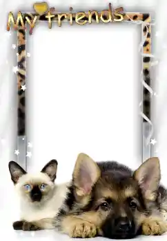 An inscription on the frame: My friends An inscription on the frame: My friends