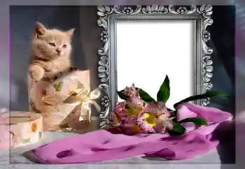 Photo effect from category Different № 10835 Photo effect from category Different № 10835