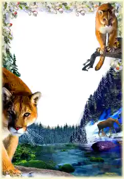 Photo effect from category Different № 112361 Photo effect from category Different № 112361