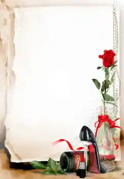 Photo effect from category Different № 112458 Photo effect from category Different № 112458