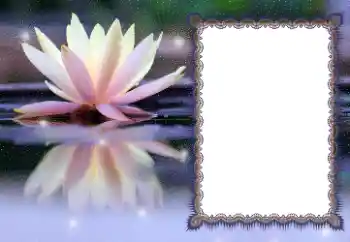 Photo effect from category Different № 112532 Photo effect from category Different № 112532