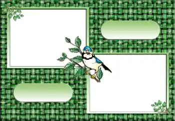 Photo effect from category Different № 112641 Photo effect from category Different № 112641