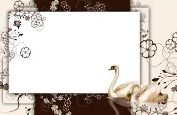 Photo effect from category Different № 112848 Photo effect from category Different № 112848