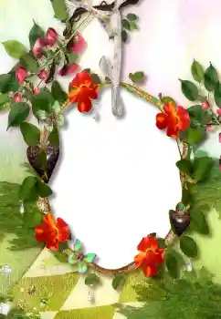 Photo effect from category Different № 113118 Photo effect from category Different № 113118