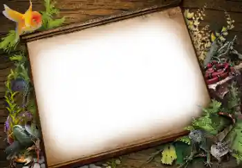 Photo effect from category Different № 113139 Photo effect from category Different № 113139