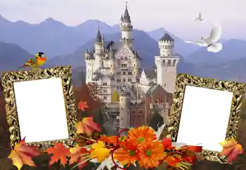 Photo effect from category Different № 114211 Photo effect from category Different № 114211