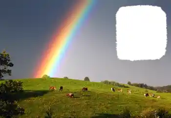 Photo effect from category Different № 114599 Photo effect from category Different № 114599