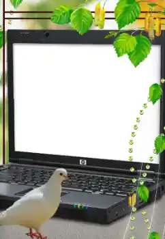 Photo effect from category Different № 114633 Photo effect from category Different № 114633