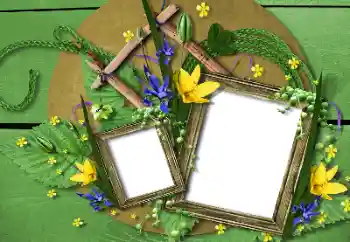 Photo effect from category Different № 115748 Photo effect from category Different № 115748