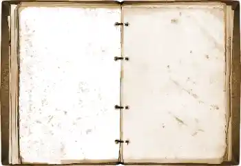 Photo effect from category Different № 115773 Photo effect from category Different № 115773