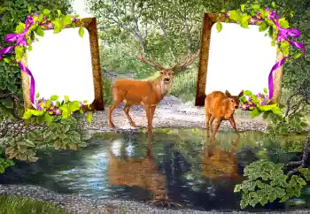 Photo effect from category Different № 115890 Photo effect from category Different № 115890