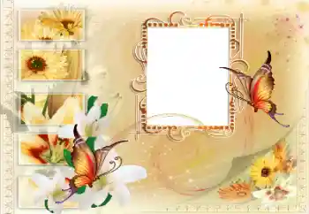 Photo effect from category Different № 115894 Photo effect from category Different № 115894