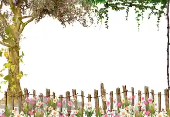 Photo effect from category Different № 115954 Photo effect from category Different № 115954