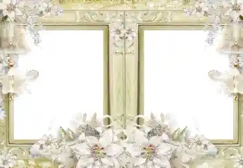 Photo effect from category Different № 116108 Photo effect from category Different № 116108