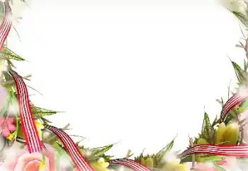 Photo effect from category Different № 116196 Photo effect from category Different № 116196