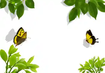 Photo effect from category Different № 117282 Photo effect from category Different № 117282