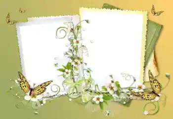 Photo effect from category Different № 117632 Photo effect from category Different № 117632