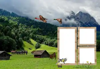 Photo effect from category Different № 118908