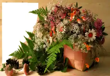 Photo effect from category Different № 120020