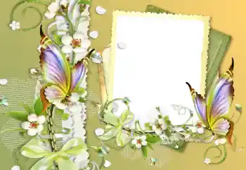 Photo effect from category Different № 121056