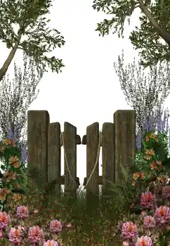 Photo effect from category Different № 123212