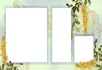 Photo effect from category Different № 123242