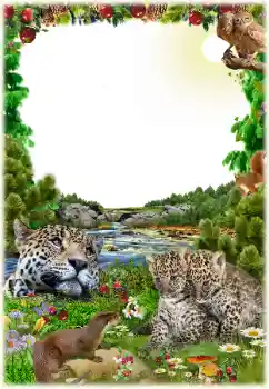 Photo effect from category Different № 125652