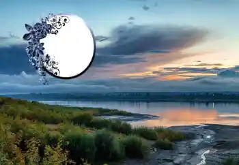 Photo effect from category Different № 125673