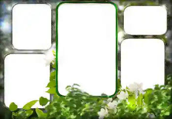 Photo effect from category Different № 125911