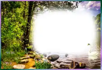 Photo effect from category Different № 127169