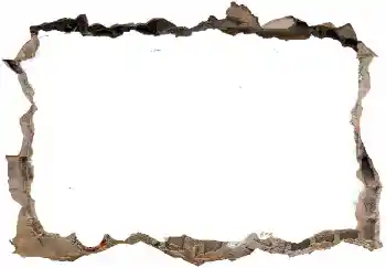 Photo effect from category Different № 128418