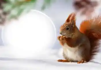 Photo effect from category Different № 128568