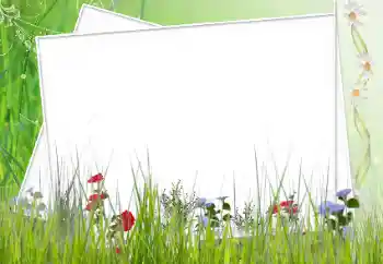 Photo effect from category Different № 12902 Photo effect from category Different № 12902