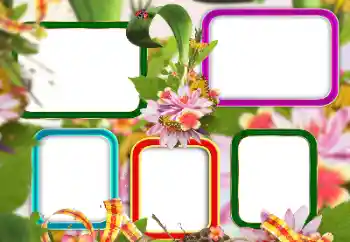 Photo effect from category Different № 129813