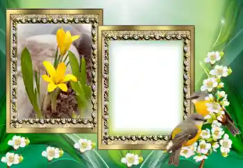 Photo effect from category Different № 130649