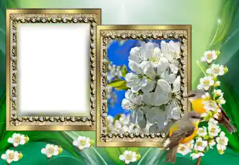 Photo effect from category Different № 130650