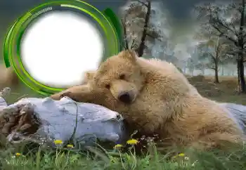 Photo effect from category Different № 131305