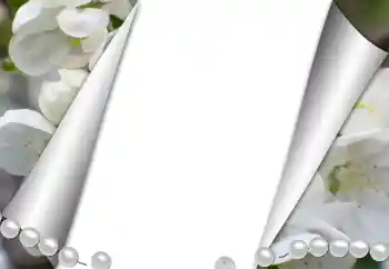 Photo effect from category Different № 131361