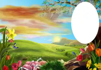 Photo effect from category Different № 131534