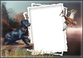 Photo effect from category Different № 132874 Photo effect from category Different № 132874