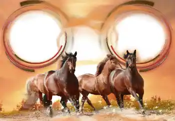 Photo effect from category Different № 133286 Photo effect from category Different № 133286