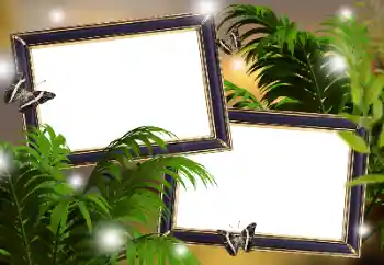 Photo effect from category Different № 133299 Photo effect from category Different № 133299