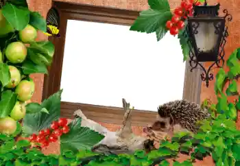 Photo effect from category Different № 13917 Photo effect from category Different № 13917