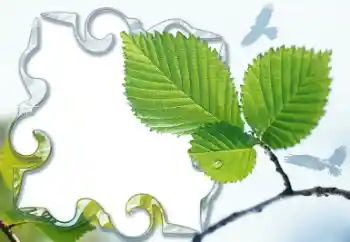 Photo effect from category Different № 13921