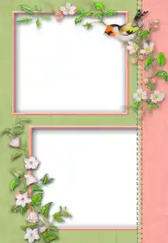 Photo effect from category Different № 13930 Photo effect from category Different № 13930