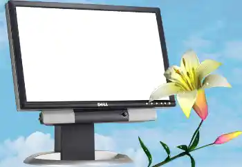 Photo effect from category Different № 13988 Photo effect from category Different № 13988