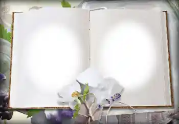 Photo effect from category Different № 139914 Photo effect from category Different № 139914