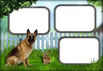 Photo effect from category Different № 139921 Photo effect from category Different № 139921