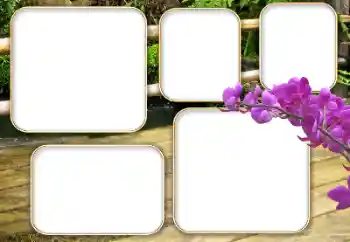 Photo effect from category Different № 140964 Photo effect from category Different № 140964