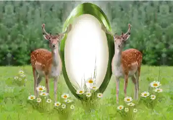 Photo effect from category Different № 142259 Photo effect from category Different № 142259